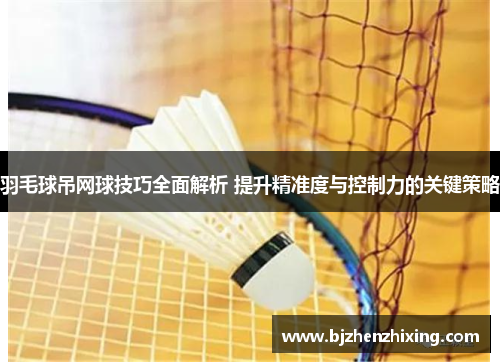 羽毛球吊网球技巧全面解析 提升精准度与控制力的关键策略