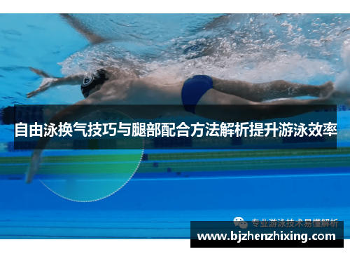 自由泳换气技巧与腿部配合方法解析提升游泳效率