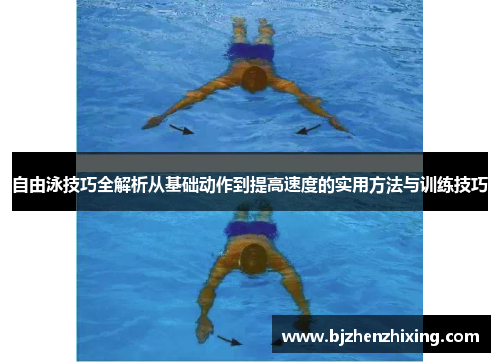 自由泳技巧全解析从基础动作到提高速度的实用方法与训练技巧