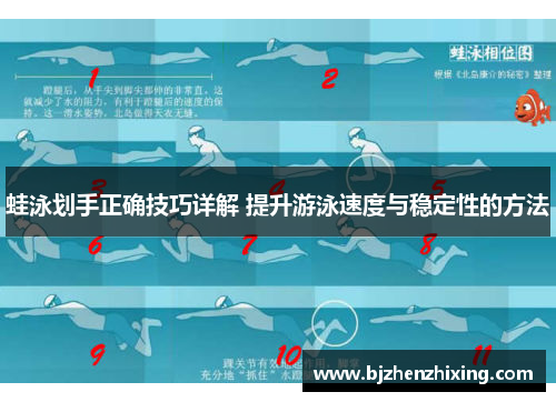 蛙泳划手正确技巧详解 提升游泳速度与稳定性的方法