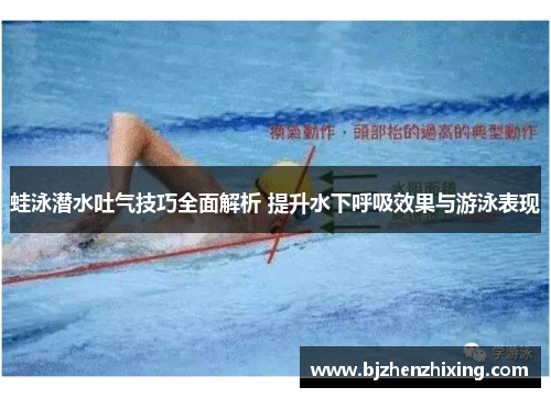 蛙泳潜水吐气技巧全面解析 提升水下呼吸效果与游泳表现