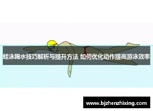 蛙泳踢水技巧解析与提升方法 如何优化动作提高游泳效率
