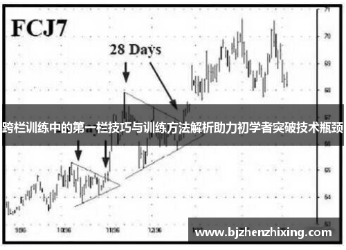 跨栏训练中的第一栏技巧与训练方法解析助力初学者突破技术瓶颈